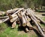 Drvoprerađivači iz Rožaja: Borba protiv šumarske mafije mora biti nastavljena