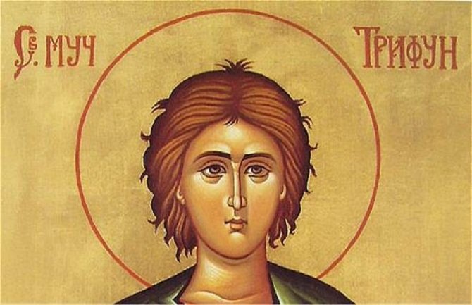 Danas je Sveti Trifun, zaštitnik vinograda i iskrene ljubavi