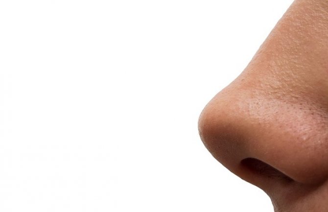 Evo šta  oblik nosa govori o karakteru osobe