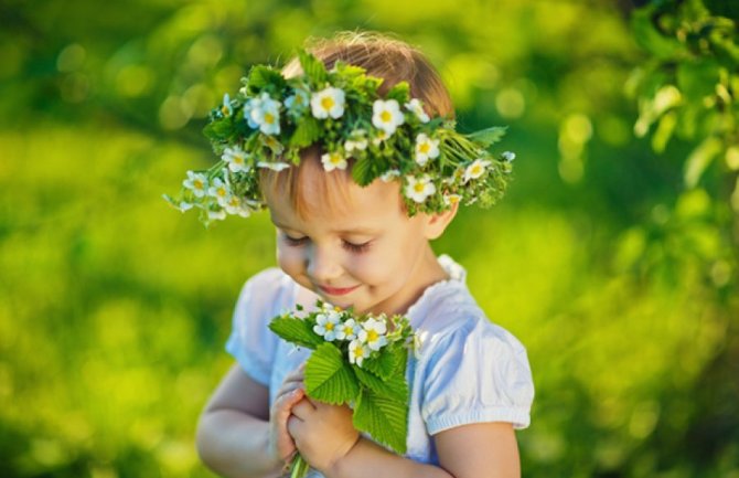 Danas je Lazareva Subota: Uberite cvijet i obradujte djecu