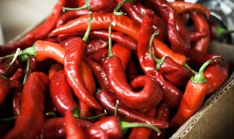 Konzumiranje ljute papričice smanjuje stopu smrtnosti
