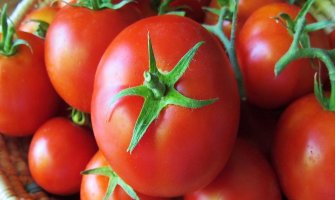 Svakodnevna konzumacija paradajza smanjuje rizik od raka za 50%