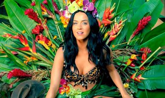 Evo na čemu je Fatboy Slim zahvalan Katy Perry