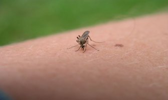 Riješite se komaraca na najprirodniji mogući način