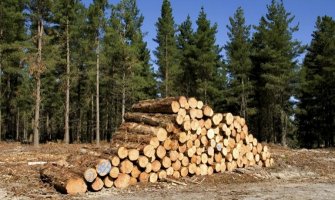 U 2020. domaćinstva potrošila skoro 540.000 kubika drveta