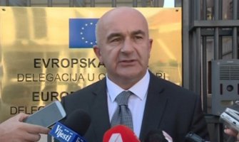 Joković: GO će odlučiti o Miliću i Pavićević