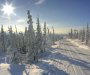 Naučnici spašavaju čovječanstvo vraćajući na Sibir ledeno doba