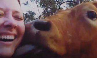 Spasila kravu i dobila ljubimca za poželjeti (VIDEO)