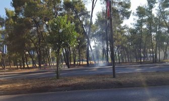 Požar u Tološima zahvatio pomoćni objekat fabrike Elastik