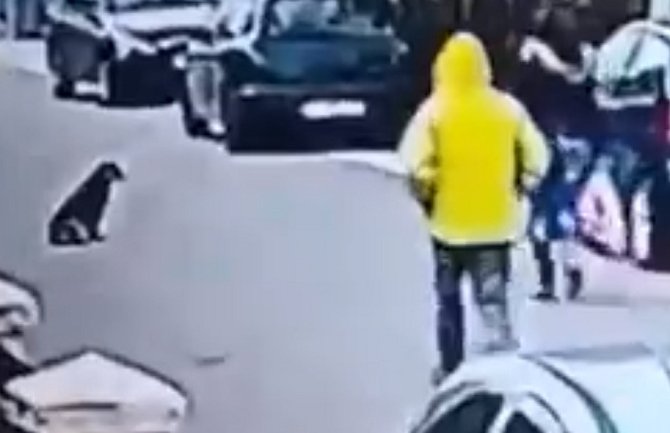 Podgorica: Pas spriječio pljačku! (VIDEO)