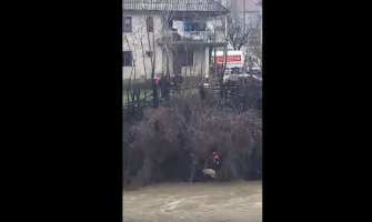 BP: Vatrogasci spasili ovcu iz nabujalog Lima (VIDEO)
