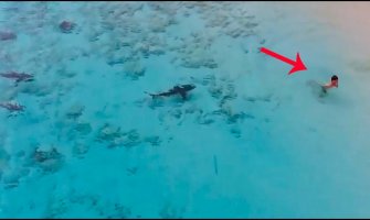 Zastrašujući snimak iz drona: Dječak uspio da pobjegne ajkulama (VIDEO)