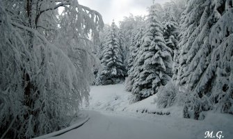 Kolašinski spasioci izvukli muža i ženu iz snijega na putu preko Trešnjevika