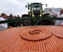 U Vojvodini predstavljena kobasica duga više od dva kilometra i teška 2,5 tone