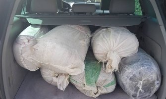 Uhapšen Podgoričanin: Policija našla 75 kg skanka u autu i kući osumnjičenog