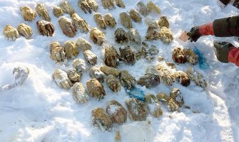 Rusija: Pronađena vreća sa 54 ljudske šake