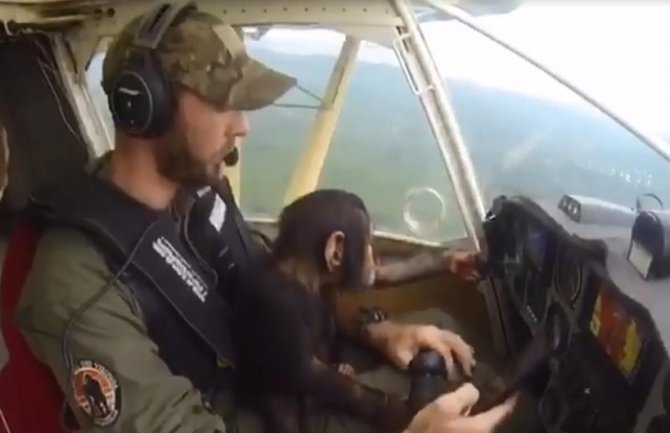 Majmun pomaže pilotu u upravljanju nakon što ga je spasio od lovokradica (VIDEO)
