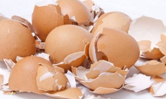 Evo kako da iskoristite ljuske od jajeta