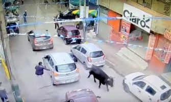 Bik pobjegao iz štale i povrijedio nekoliko ljudi na ulici (VIDEO)