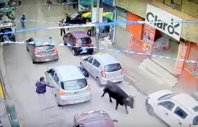 Bik pobjegao iz štale i povrijedio nekoliko ljudi na ulici (VIDEO)