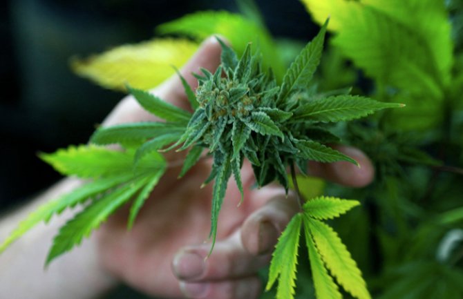 Prvi put odobren lijek od marihuane na recept