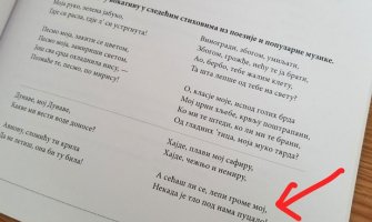 Ministar prosvjete Srbije: Stihovi Cecine pjesme biće izbačeni iz udžbenika