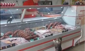 Mačka pošla u nabavku: Mesar joj nudio meso, a ona pokazala najbolje parče (VIDEO)