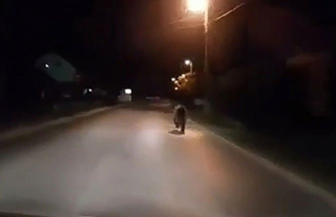 Medo protrčao ulicama Prijedora (VIDEO)