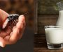 Posebna vrsta mlijeka od insekata je superhrana budućnosti