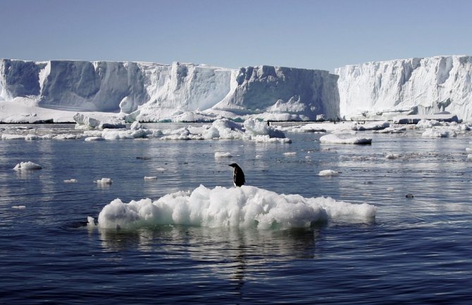 Topljenje leda na Antarktiku mnogo brže nego što se očekivalo