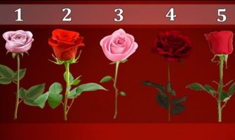Izaberite ružu i saznajte hoće li se vaša najveća želja ostvariti