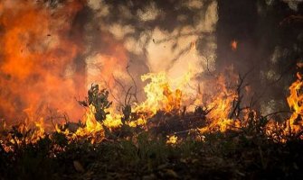 Kaliforniju pogađaju katastrofalni požari, voda ispari prije nego što takne tlo