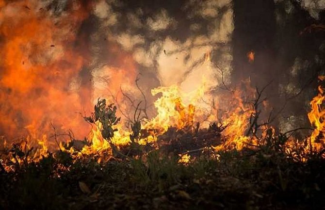 Požar na granici između BiH i Crne Gore, kuće jedva spašene