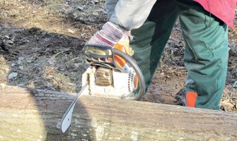 Krivična prijava protiv zaposlenih u Upravi za šume: Omogućili bespravnu sječu i oštetili budžet za 36.497 eura