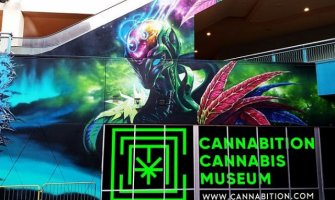 Otvoren muzej marihuane u Las Vegasu (VIDEO)