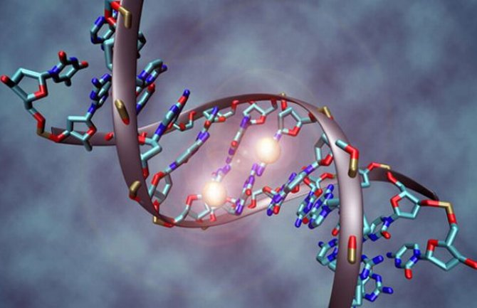 Otkriveni djelovi DNK koji pomažu kanceru da se širi