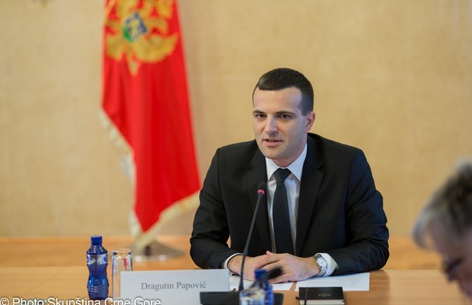 Papović:  Ne postoji ni jedan opravdani razlog za ultimativno traženje ostavke Đukanovića