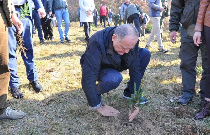 Simović sadio u BP: Očuvanje šuma je zajednička briga i odgovornost(FOTO)