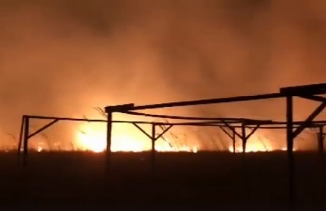 Veliki požar u Ulcinju: Vatrogasci na terenu, vjetar tjera vatru prema moru(VIDEO)