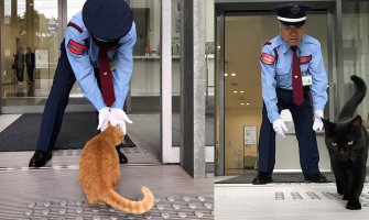 Dvije najpoznatije mačke u Japanu: Godinama pokušavaju da uđu u muzej(VIDEO)