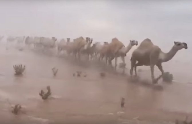 Poplave u Saudijskoj Arabiji: Voda prekrila pustinju, najmanje 30 mrtvih (VIDEO)
