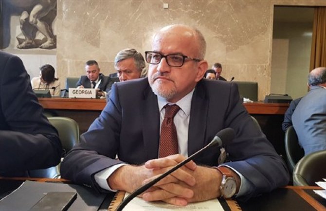 Darmanović u Ženevi: Crna Gora kontinuirano pruža podršku Avganistanu
