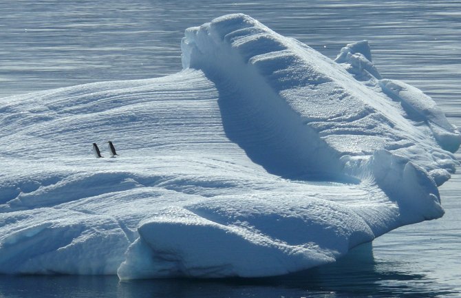 Bilježi pet najtoplijih godina: Sjeverni pol se zagrijao dva puta više od ostatka svijeta
