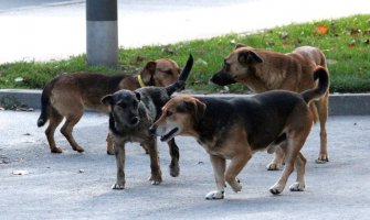 Zaštitnica napuštenih životinja ide u zatvor zbog hranjenja uličnih pasa