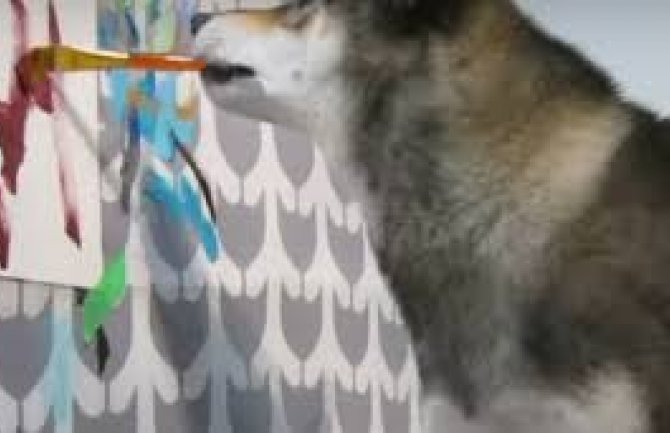Upoznajte psa koji stvara umjetničke slike, njegova djela se prodaju (VIDEO)