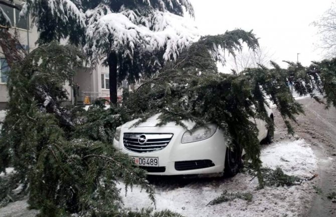Podgorica: Snijeg obara drveće, komunalna policija izrekla 34 kazne zbog neodržavanja prilaza
