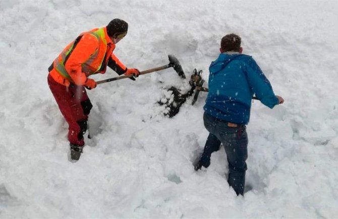 Mašinovođa zaustavio voz da bi spasili divokozu iz snijega (VIDEO)