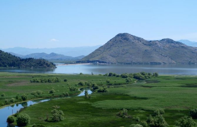 Počinje ribolovni zabran u NP Skadarsko jezero