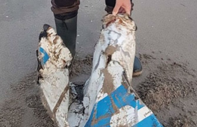 U olupini aviona fudbalera pronađeno jedno tijelo