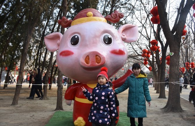 Kinezi ušli u godinu svinje